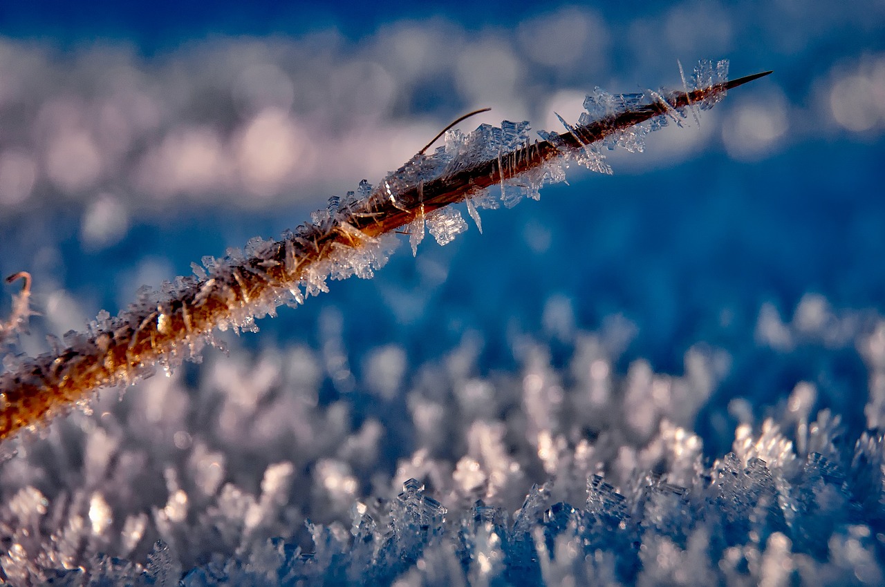 ice, hoarfrost, frost